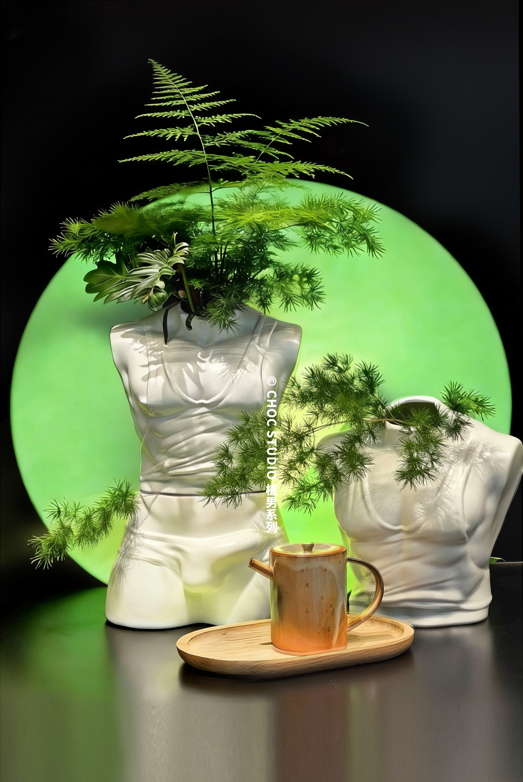 【Sold out】Flowerpot Plant Guy-CHOC studio