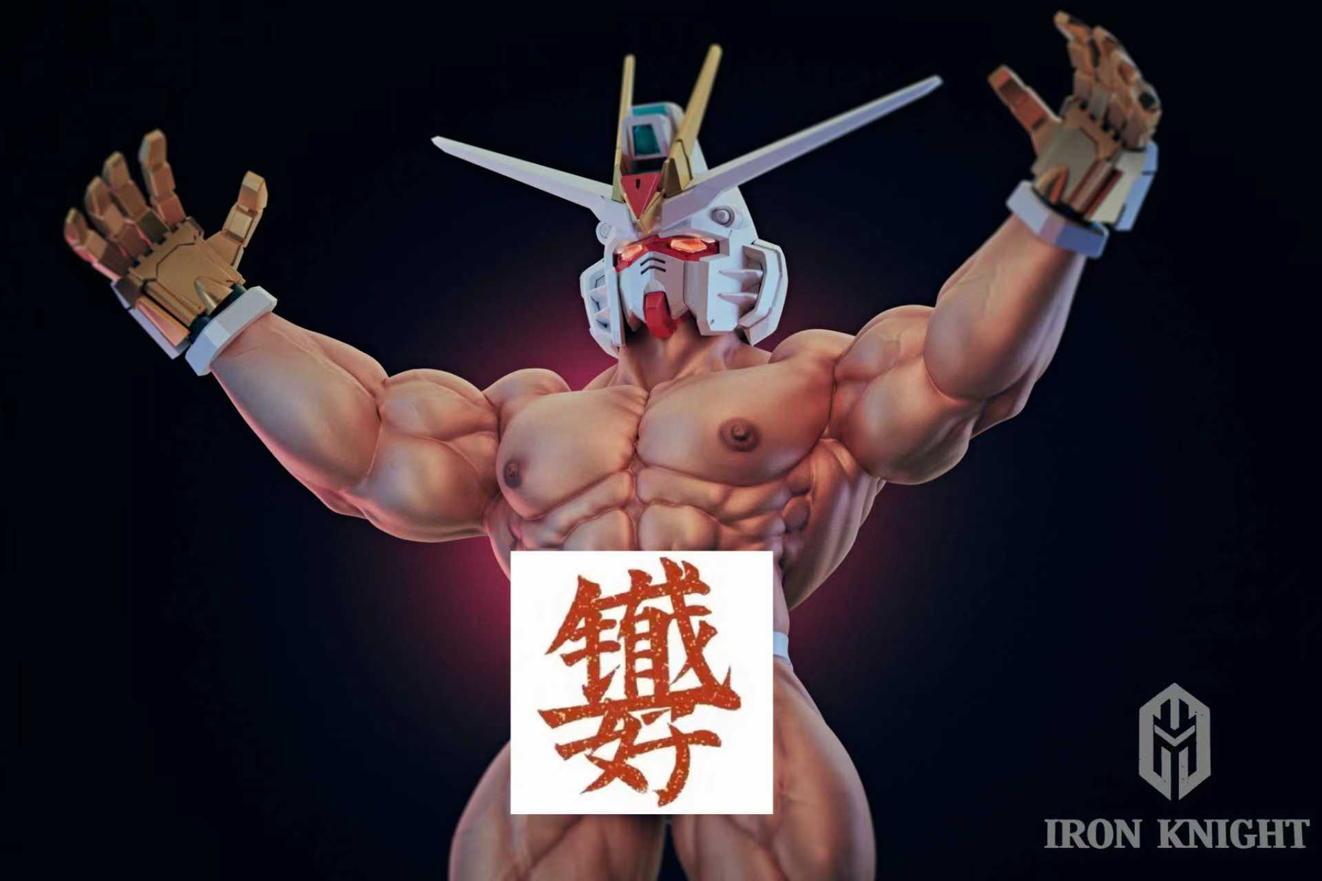 【Pre-sale】1/6 Scale 002 Freedom Warrior-Iron Knight Studio