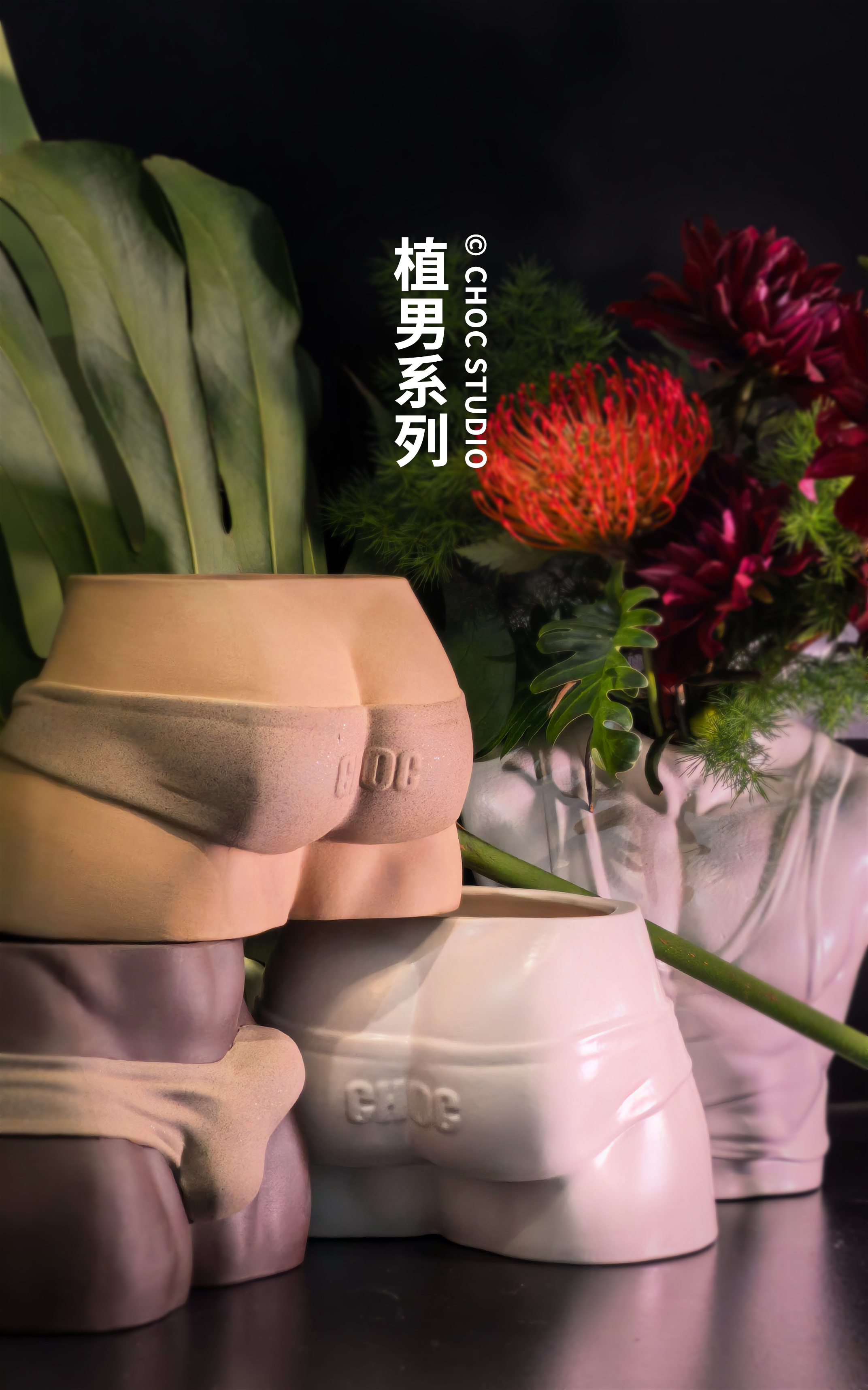 【Sold out】Flowerpot Plant Guy-CHOC studio
