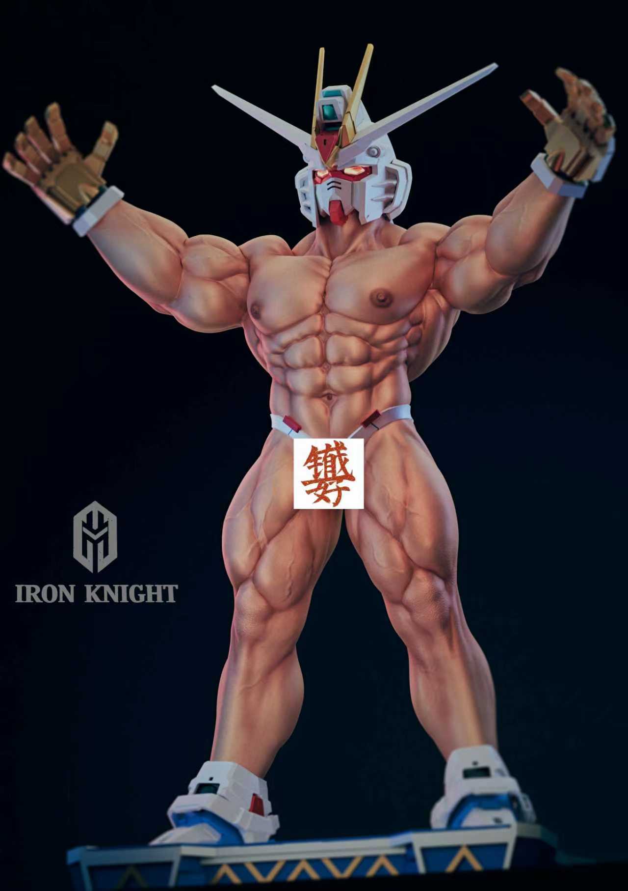 【Pre-sale】1/6 Scale 002 Freedom Warrior-Iron Knight Studio