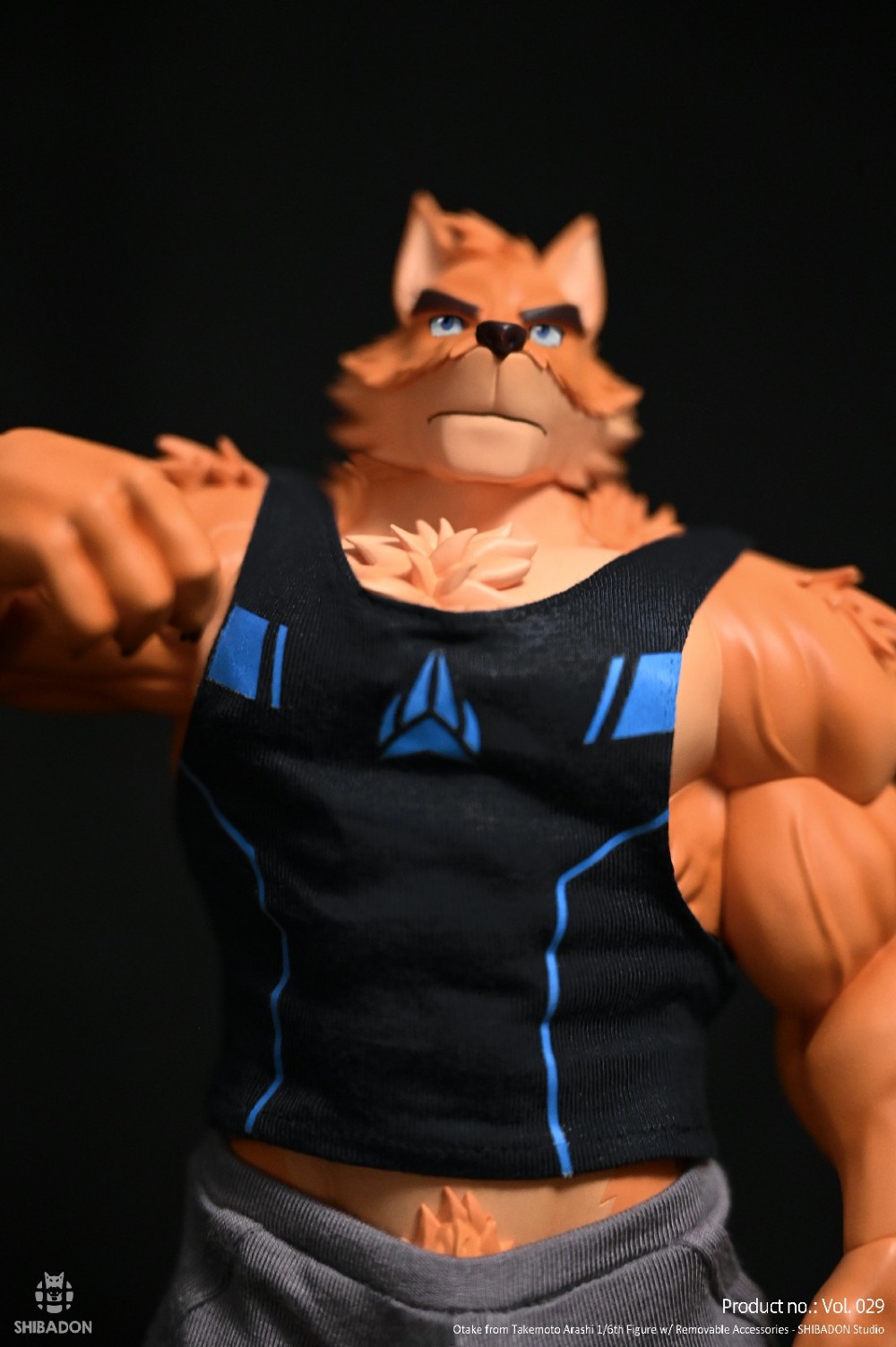 【Sold out】1/6 Scale Otake-Other series-Shibadon Studio