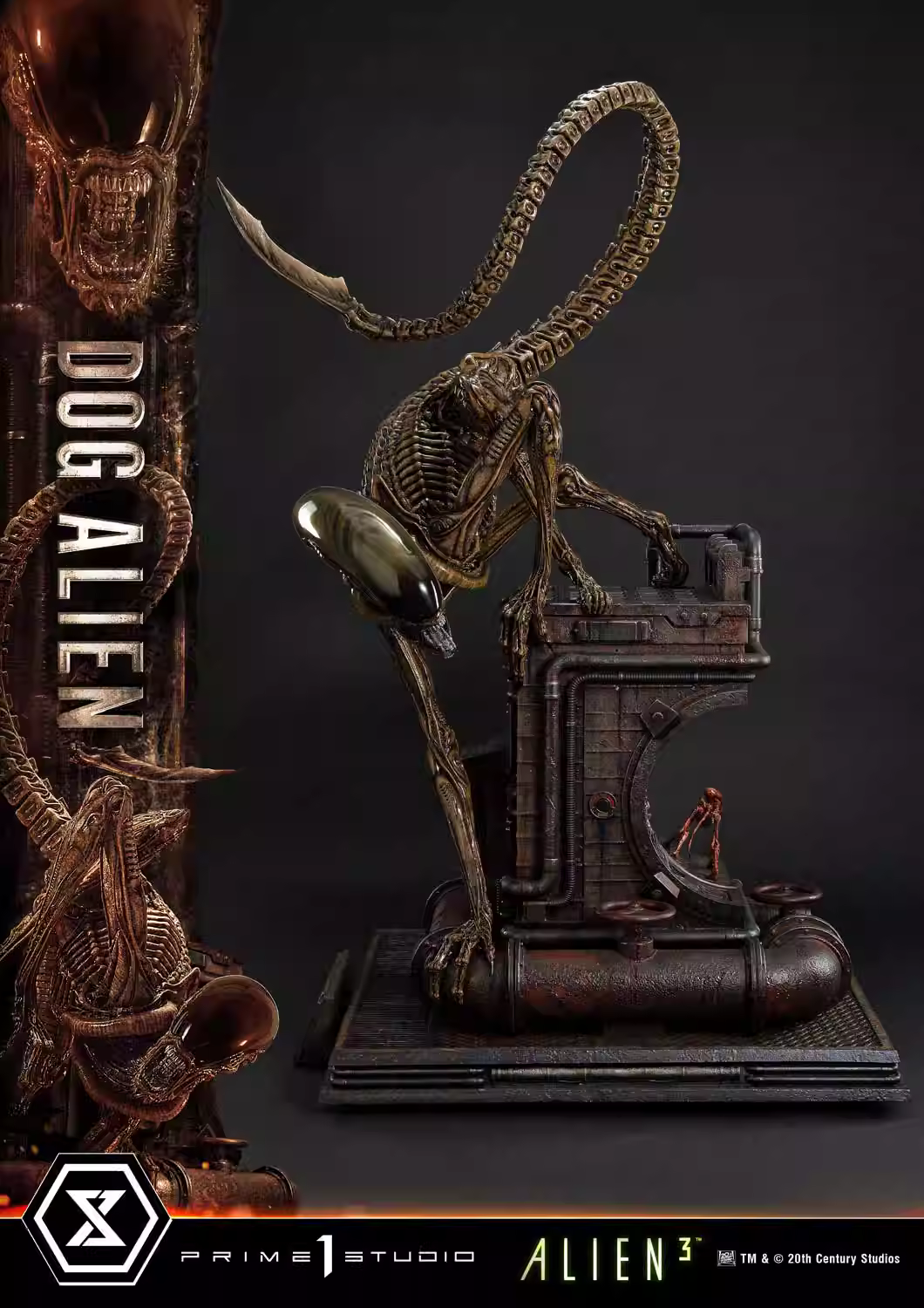 【Pre-sale】1/3 Scale Dog Alien-Alien-Prime 1 Studio