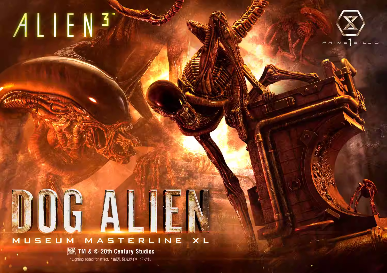 【Pre-sale】1/3 Scale Dog Alien-Alien-Prime 1 Studio