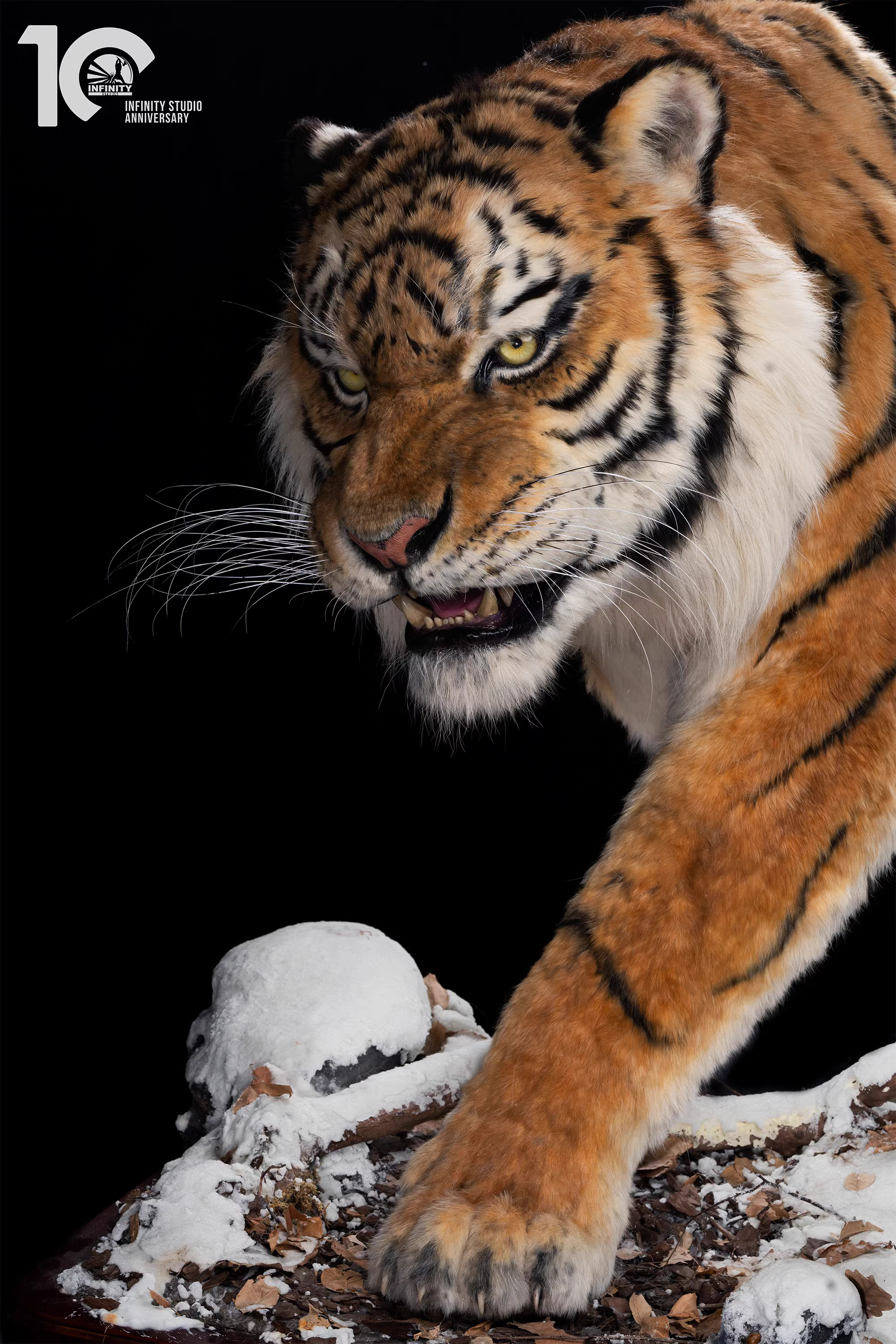 【Pre-sale】1/1 Scale Tiger-Other series-Infinity Studio
