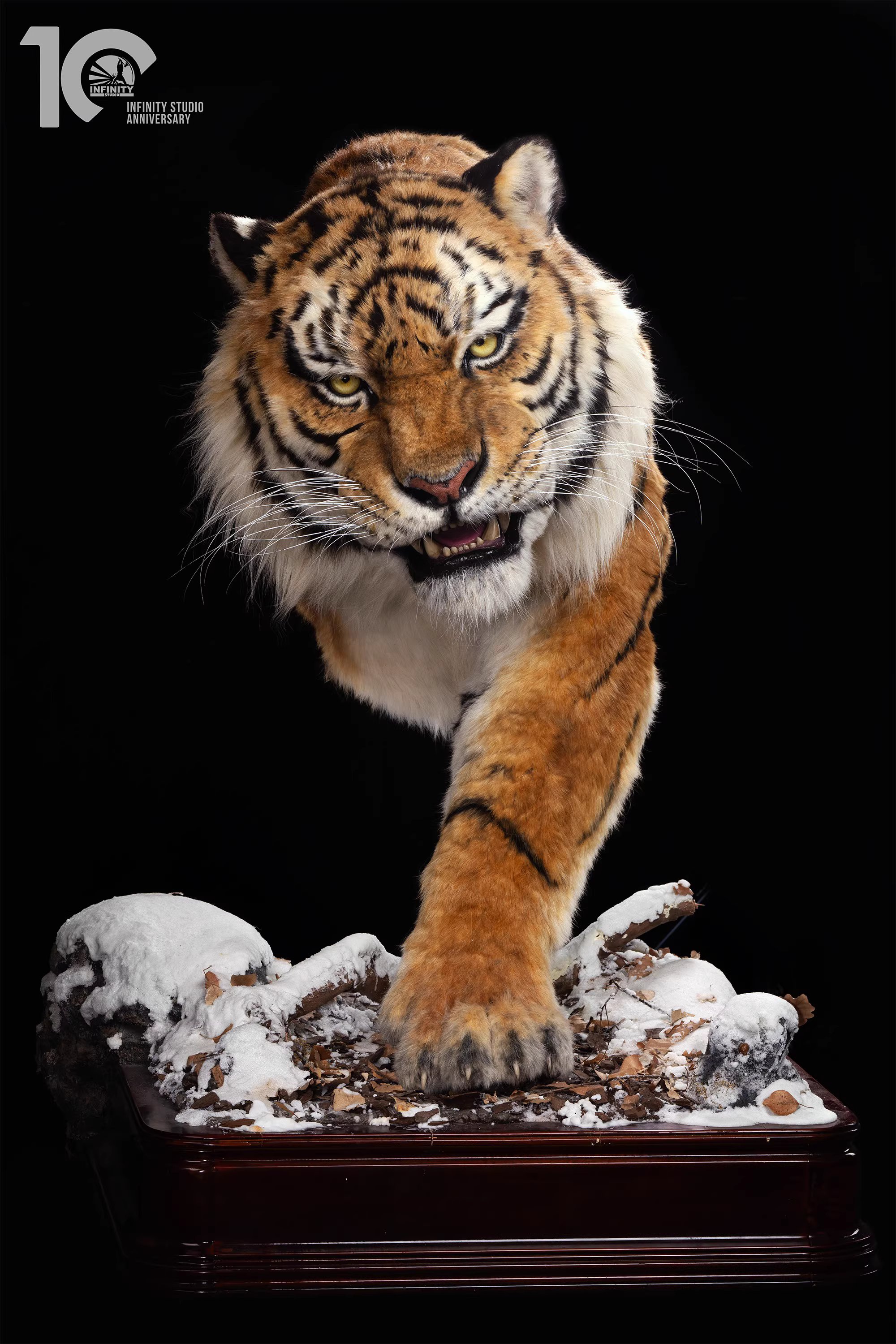 【Pre-sale】1/1 Scale Tiger-Other series-Infinity Studio