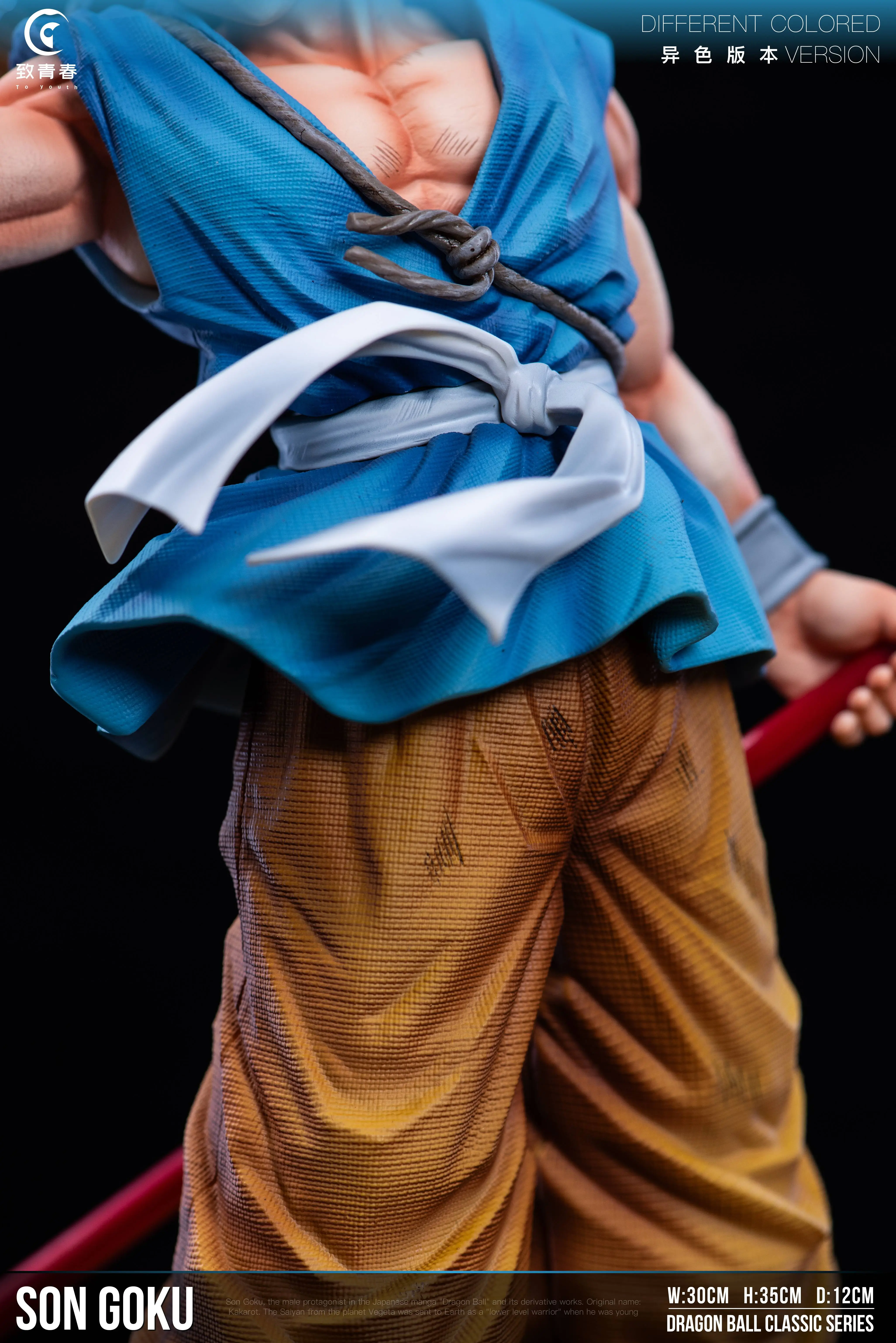【Pre-sale closed】Son Goku-To Youth Studio