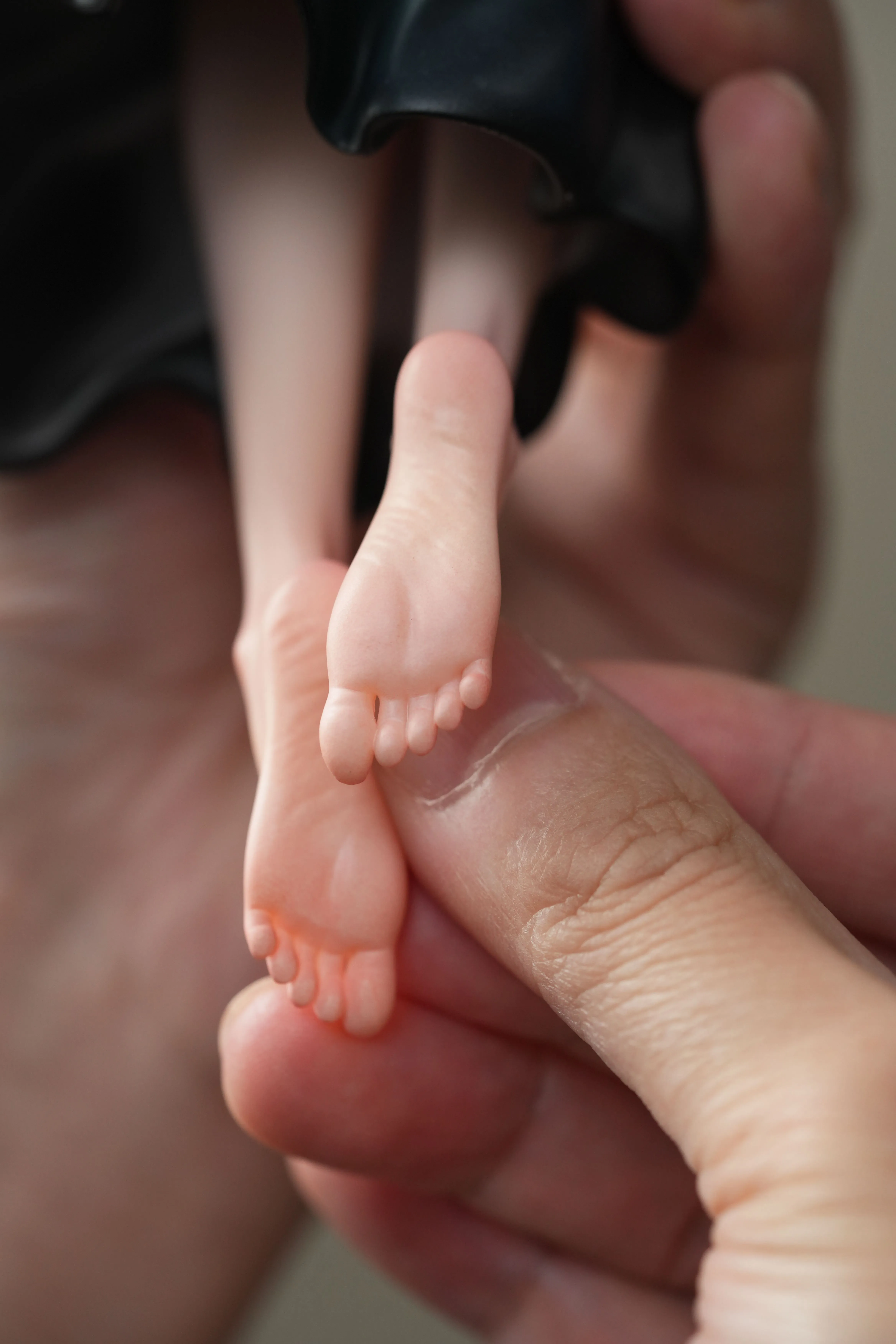 【Pre-sale】1/6 Scale SS Miss Rize-Damocles Studio