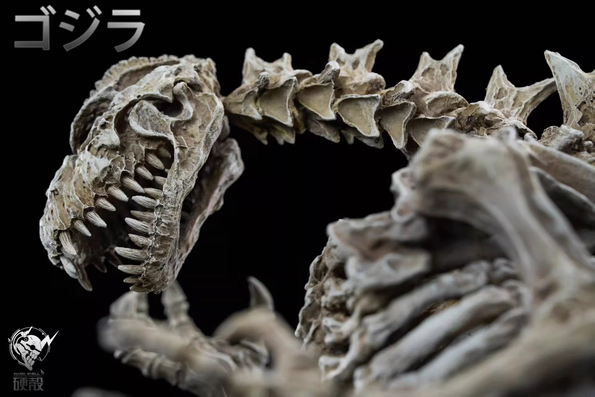 【Pre-sale】Skeletal Fossil of Godzilla–Hardcore  Studio