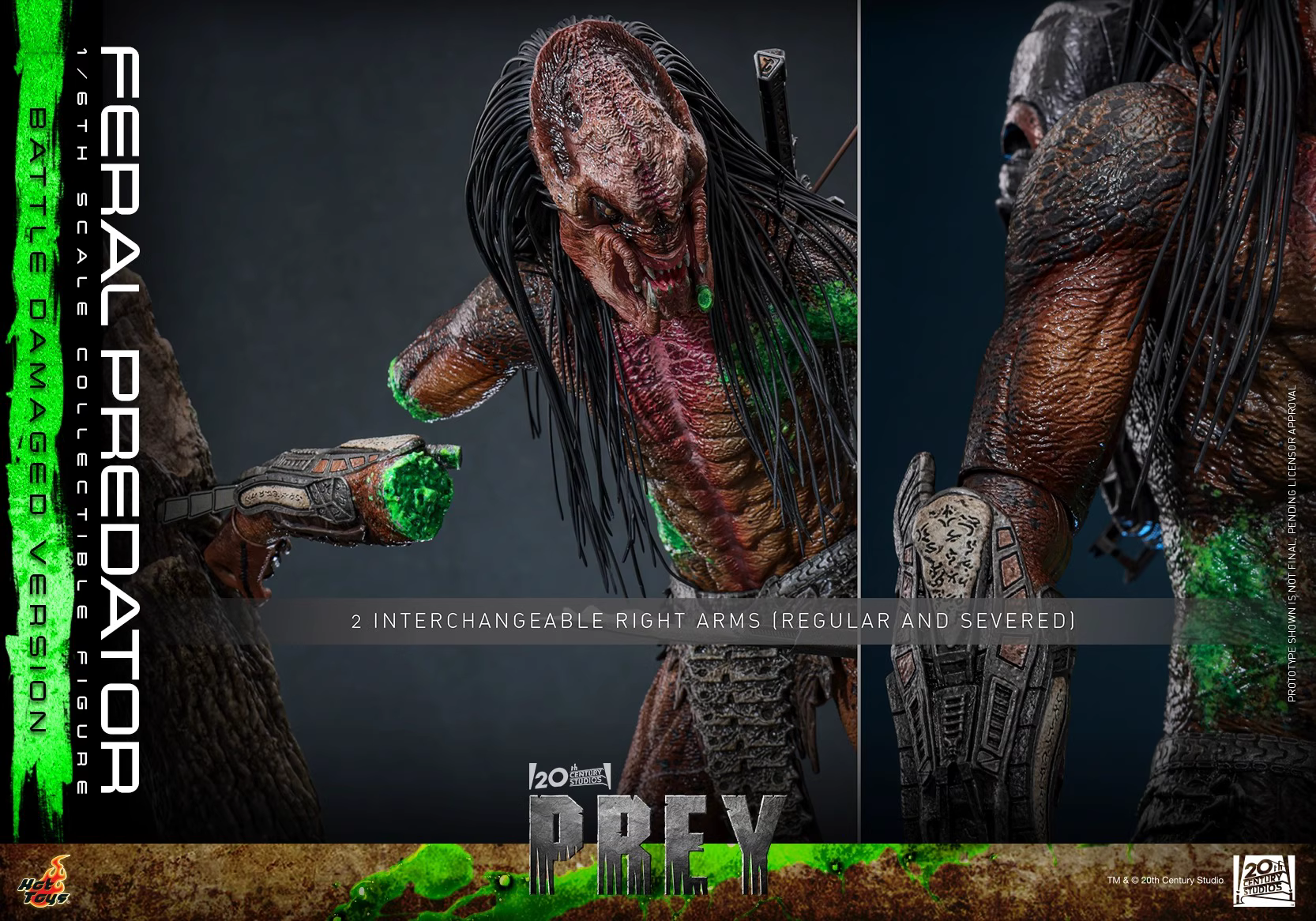 【Pre-sale】1/6 Scale TMS173 Feral Predator-HotToys Studio